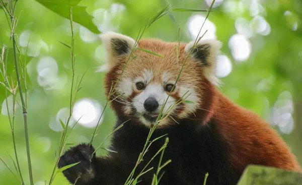 分手两年了还能复合吗