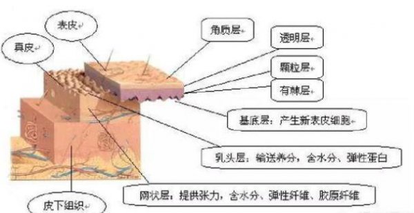 是不是越贵的护肤品效果越好？