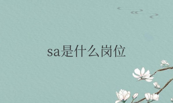 sa是什么岗位的简称