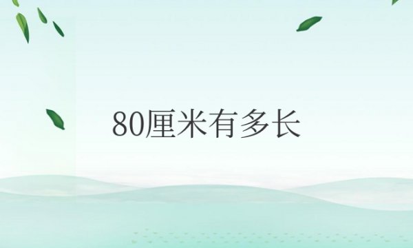 80厘米有多长实物图对比