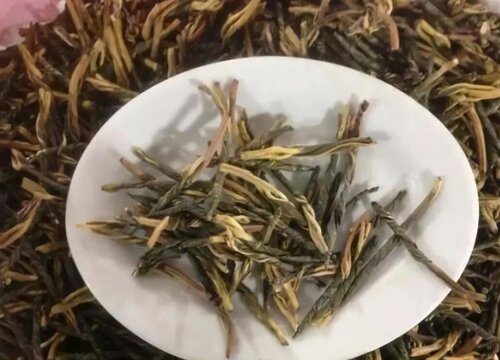 苦丁茶的功效与作用