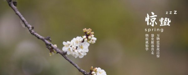 不同节气吃什么？介绍适合不同节气的食物