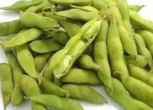 新鲜毛豆可以冷冻保存吗