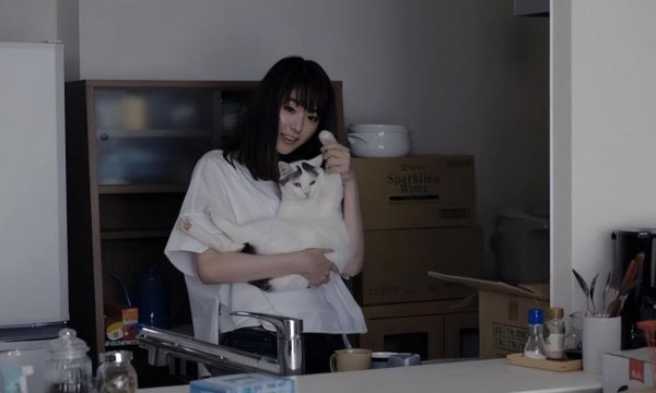 猫性格女人特质