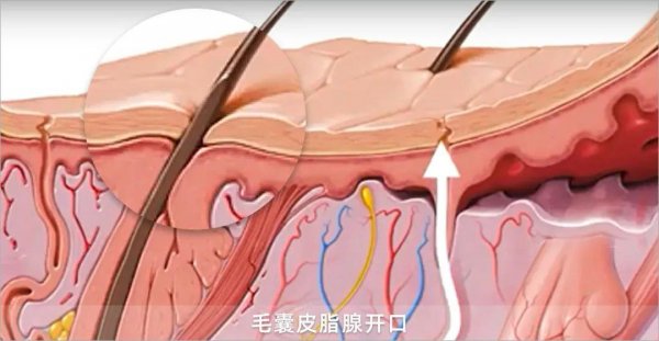 有哪些抗老成分产品推荐