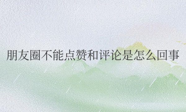 别人朋友圈不能点赞和评论是怎么回事