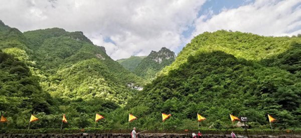 神农架原始森林在哪里