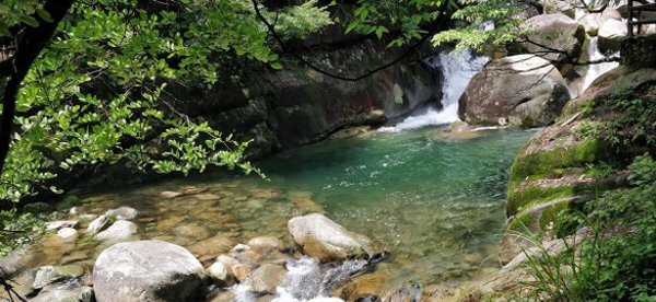 神农架原始森林在哪里