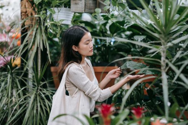 二婚真的不一条心吗