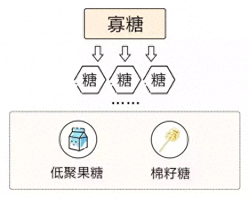 碳水是什么意思