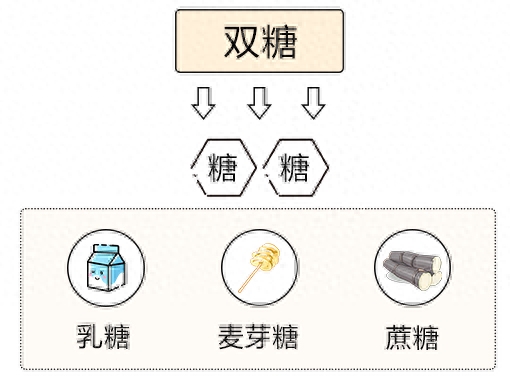 碳水是什么意思