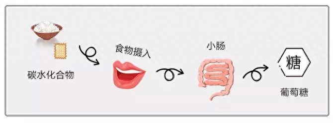 碳水是什么意思