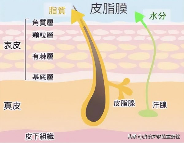 暗黄油腻皮肤有哪些护肤品