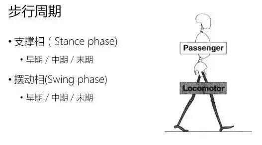 每天快走会伤膝盖吗？