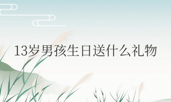 13岁男孩生日送什么礼物比较好