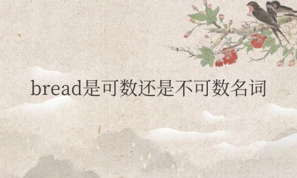 bread是可数还是不可数名词