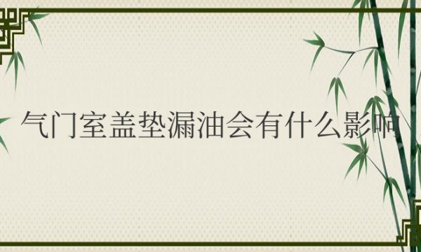 气门室盖垫漏油会有什么影响？什么原因导致？