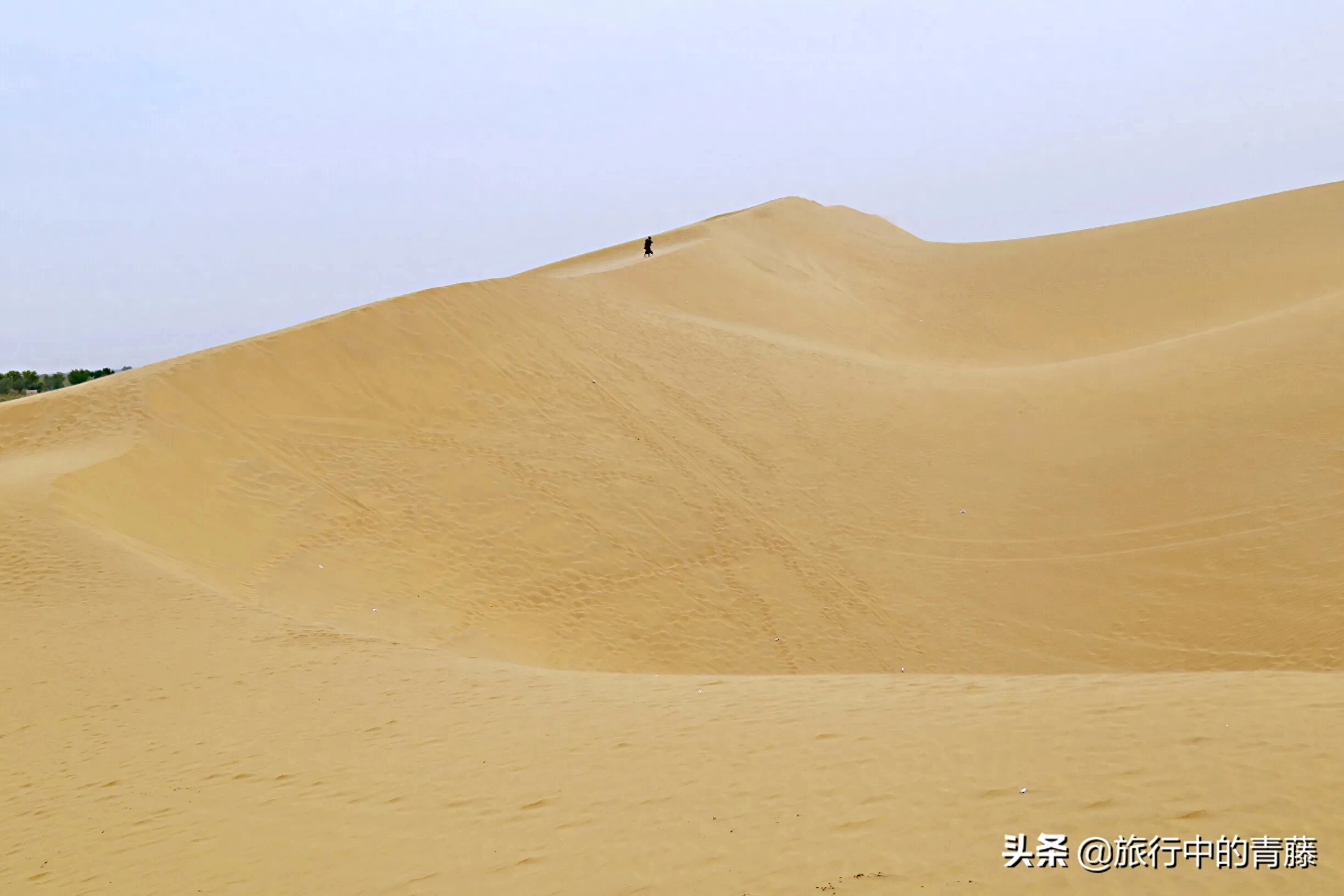 我国最大的内流河是什么河