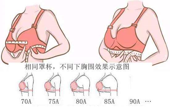 b罩杯和c罩杯有什么区别