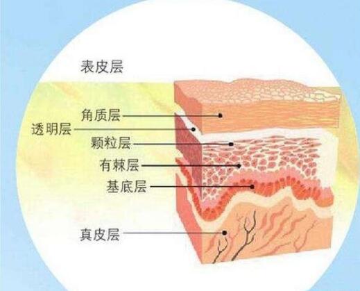 脸上干燥起皮怎么办？