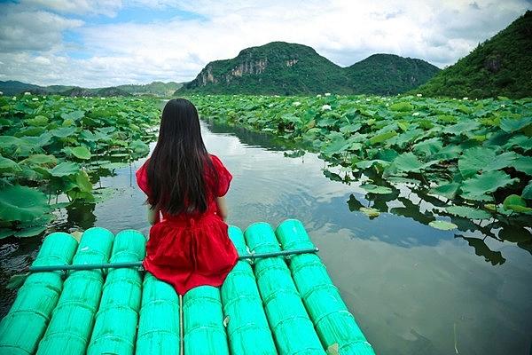 秋天适合去哪里旅游