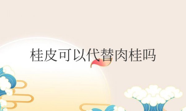 桂皮可以代替肉桂吗