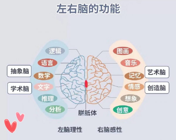 孩子右脑发达的几种表现