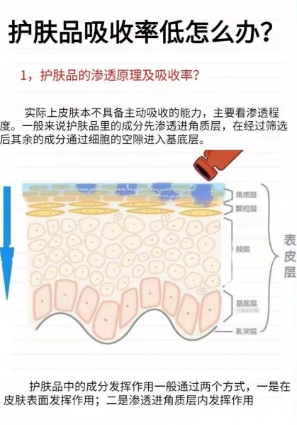 每天用护肤品真的都吸收进去了吗