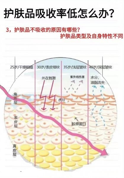 每天用护肤品真的都吸收进去了吗