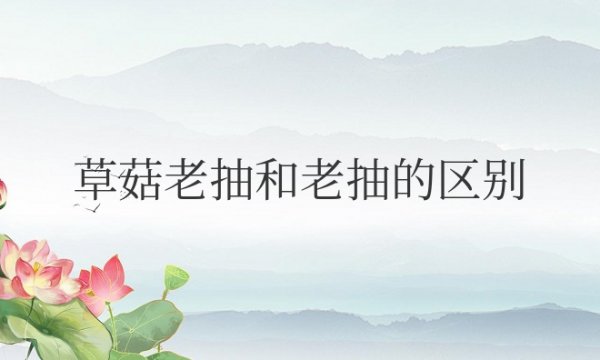 草菇老抽和老抽的区别是什么？哪个好吃？