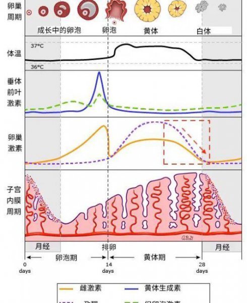 一点小事就暴躁情绪崩溃是什么病