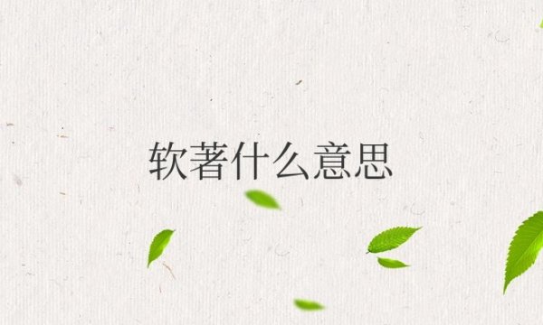 专利软著什么意思