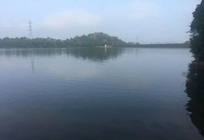 翘嘴雨天好钓还是晴天 分享野钓翘嘴的方法与技巧