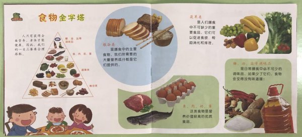 什么食物存放的时间最长