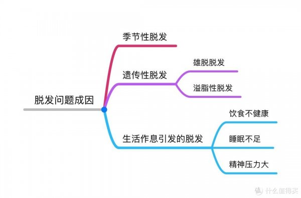 防脱发洗发水有哪些