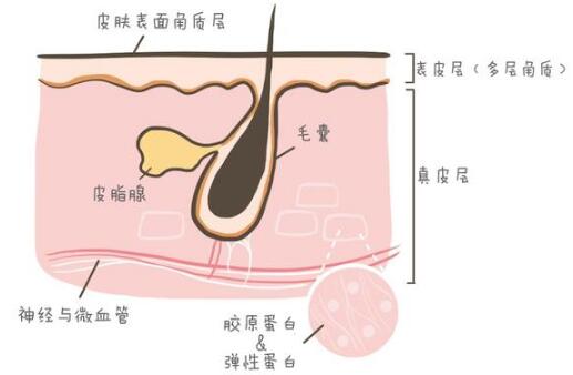 毛孔粗大怎么办？如何改善