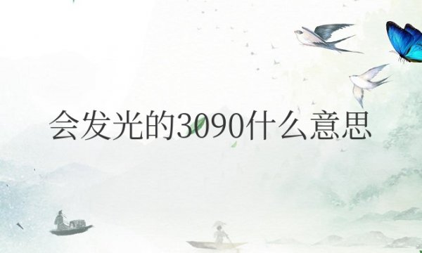 我家有个会发光的3090什么意思网络用语