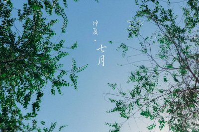 仲夏是什么意思 仲夏是个什么夏呢