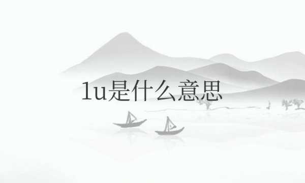 c语言1u是什么意思