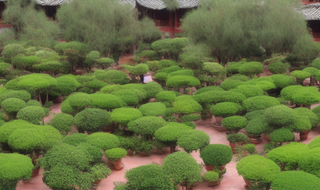 云南庭院种什么植物最旺宅 云南庭院适合种什么植物提升家宅气场